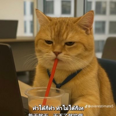 AellyDayly's profile picture. 