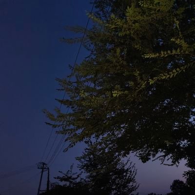 Airi2344youki's profile picture. 