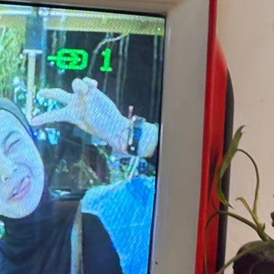 nblnraf's profile picture. ⚠️