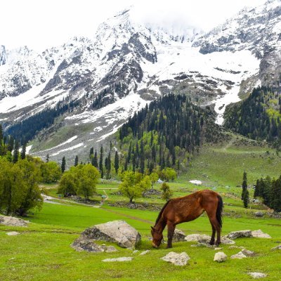 arghbefr's profile picture. aik jhapad kheech ke maru? seedhe hojaye uske baad