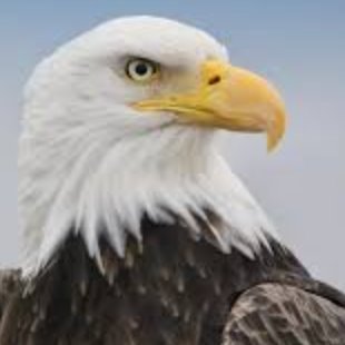 FPLSelhurst2025's profile picture. Bahrain Pearls & Palace got Robbed