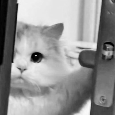 mishisaru's profile picture. 