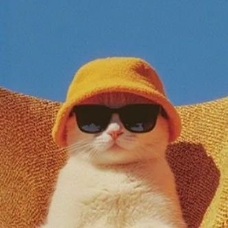 theyoungernael's profile picture. keep learning - web3 enthusiastic