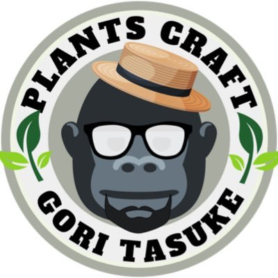 gori_gori_green's profile picture. 2023年11月21日START。コーデックス全般、アガベ、DIY、旅等好きな物を投稿しております(主に植物) /2024年12月YouTubeスタート