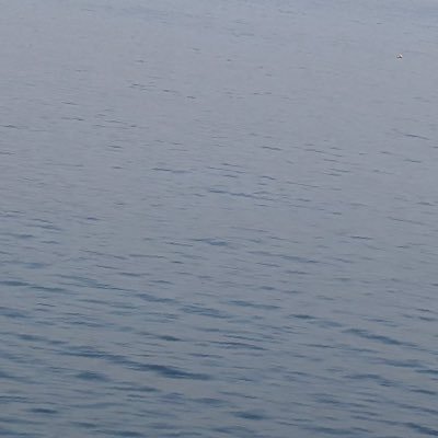 Y6Qyx's profile picture. 