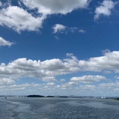 hurdgdgf's profile picture. 透析クリニック8年目