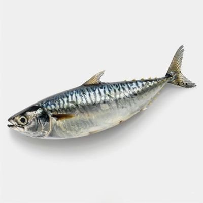 m_mcihichi's profile picture. 