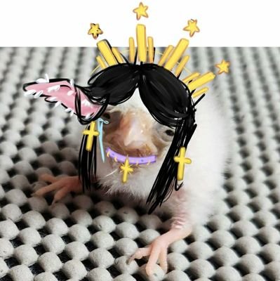 ENTJG60's profile picture. 