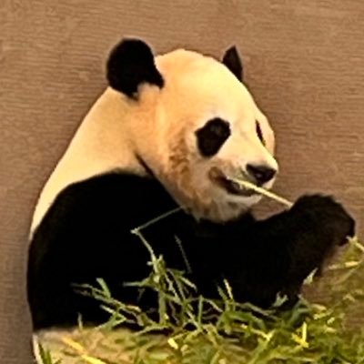 JeAlBL0gDA969's profile picture. 現役MR。営業現場で拾った感情のノウハウを「生活と資産形成」に全振り💰 曖昧な瞬間を詩と共感で祭り化するアカウント。 「共感 \rightarrow 行動」の再現性を追求しています。 #MRのリアル #営業の心理学 #お金のマインド