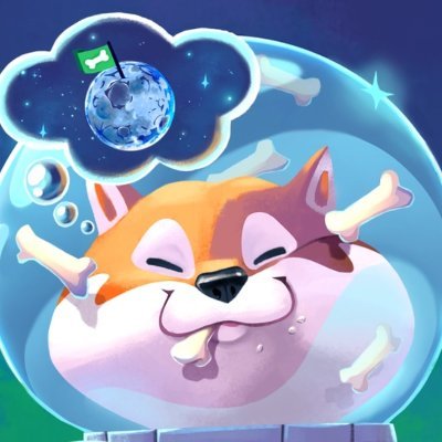 alexwij81761's profile picture. 