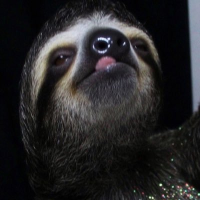 ckoock12's profile picture. Global Partnerships at @officialapexdex