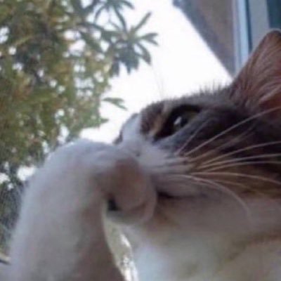 xforx2026's profile picture. 