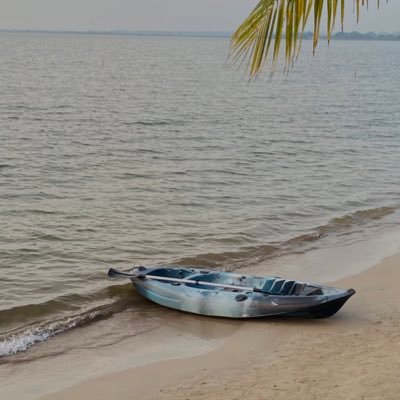 rnnpov's profile picture. 