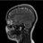die_stremel's profile image