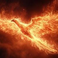 damps0's profile picture. Ex Retained Firefighter of 19 years at Stn 10 Odiham with HFRS. Currently an Airport Firefighter & Proud Dad of one. Single