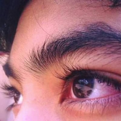 HanzPerez328406's profile picture. 