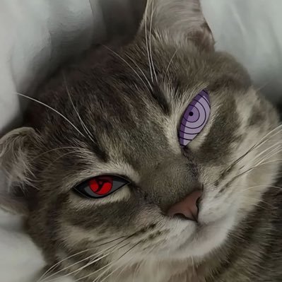 shinweeey's profile picture. ʙᴇ ʏᴏᴜ ᴀɴᴅ ᴅᴏɴ'ᴛ ʙᴇ ᴀ ᴄᴏᴘʏ ᴏꜰ ᴏᴛʜᴇʀꜱ ✨🖤