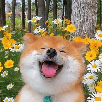 lazydaily97's profile picture. fan account for #BounPrem & #grtsp & #FirstKhaotung & #OhmPoon& #seakeen & #aston_lv etc.