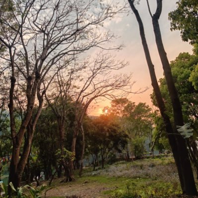 reynu_thapa's profile picture. I will respect your opinion as long as your opinion doesn't disrespect anybody's existence....
*✌✌*