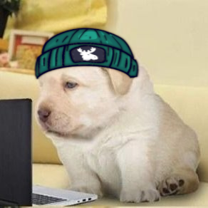 smnsaymyname's profile picture. @whisper_irys Moderator