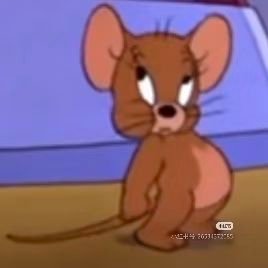 Rebecca53430198's profile picture. Lesserafim＆TXT＆ILLIT＆JK＆김범