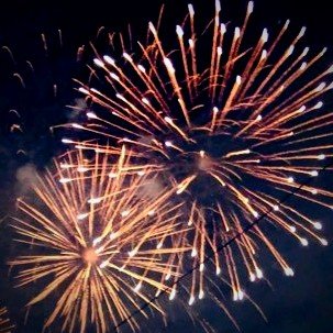 ursidae153173's profile picture. ....