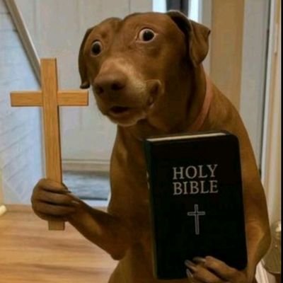 vegas378309's profile picture. Here's a business description for a manicure and pedigree service:

*Nail Care Services*

Indulge in our premium manicure and pedicure treatments, tailored to p