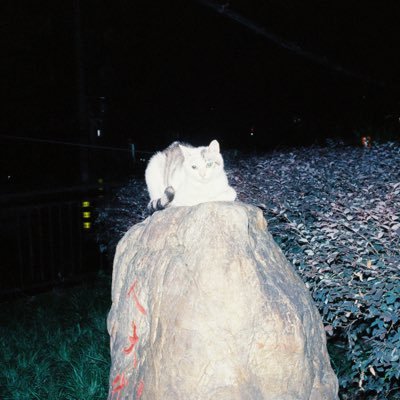 DtooaaoooaaTd's profile picture. 🪜👇