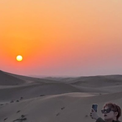 avochenle Profile Picture