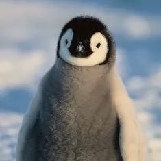 homematthew_'s profile picture. 내 취향만 추구함