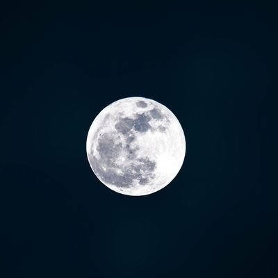 moonstar34345's profile picture. possible