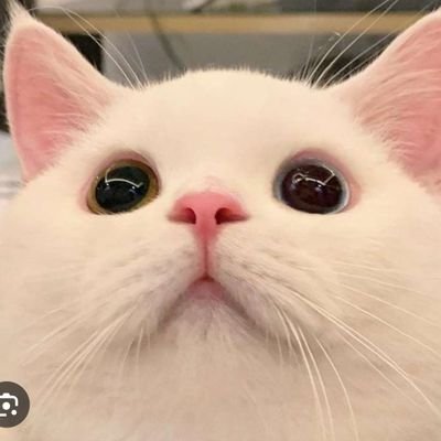 utoto_0907's profile picture. 🖤ᩚ