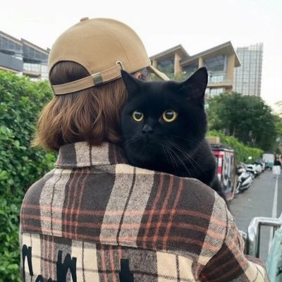 m82ry's profile picture. نهار لو تغيب الشمس واضح. 🐈‍⬛