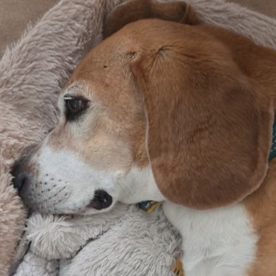 rsmNez's profile picture. Childhood Cancer Awareness