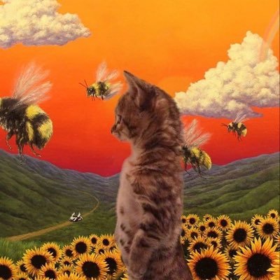 streetguy__'s profile picture. Still waiting for my Hogwarts letter