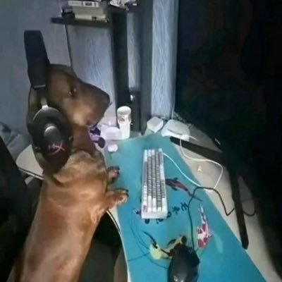 lowkeyevilmau's profile picture. 