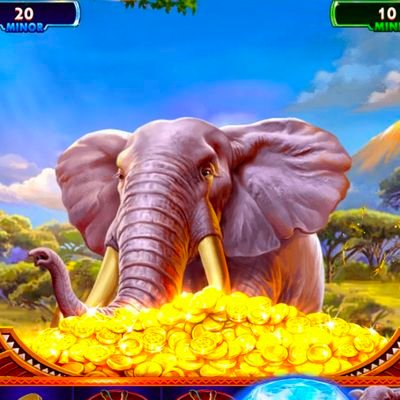 Jakasa335's profile picture. 