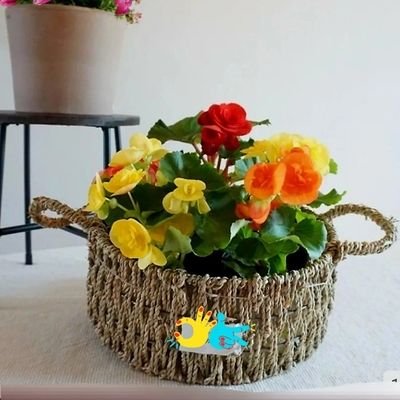 eveksm0904's profile picture. 대한민국 서울