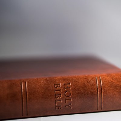 DavidCarso96169's profile picture. 