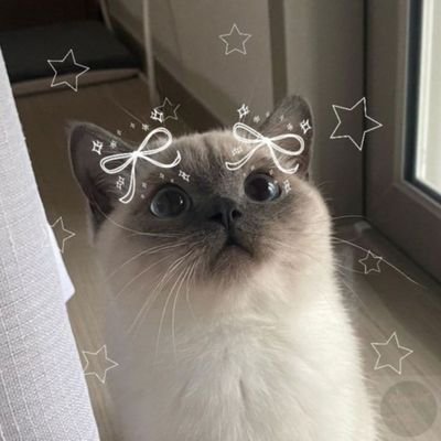 yvanille_autor's profile picture. 