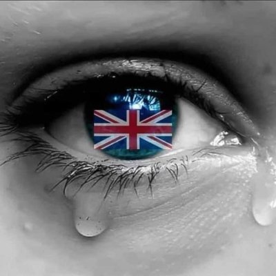 gypsyseye's profile picture. Retweet not endorsement. Bots eliminated on sight. #Liebouroutnow. #Saveourkids. Eu flag shaggers are on mute