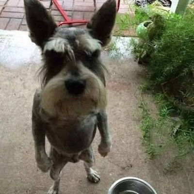 ElusiveAces's profile picture. 