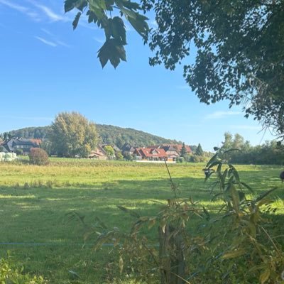 David_Kaufmann_'s profile picture. Rechts, Patriot🇩🇪#saveyournationremigration #metapolitik
