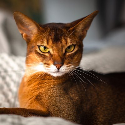 danielbeg's profile picture. 