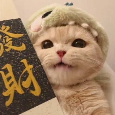 Theoo4869's profile picture. 钱呢