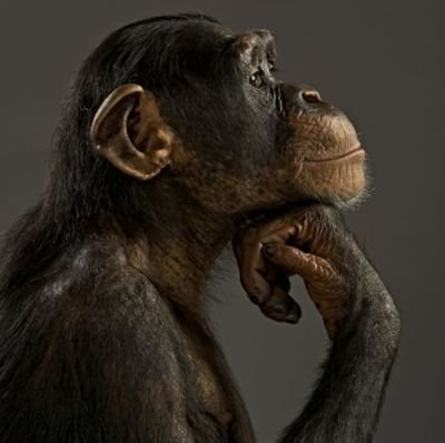 Mangoliennn's profile picture. 