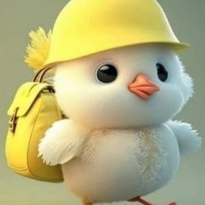 zx__l1's profile picture. 