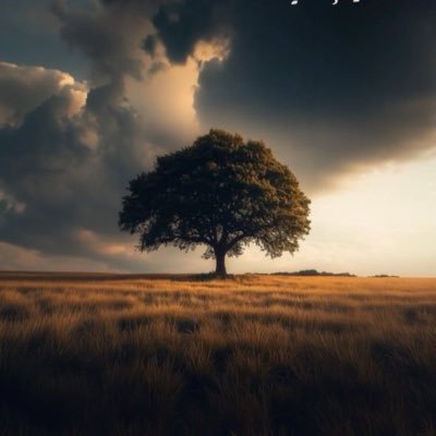 nawaf_516's profile picture. …الخ