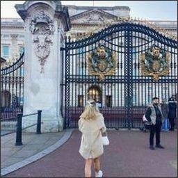 connairarz78384's profile picture. 