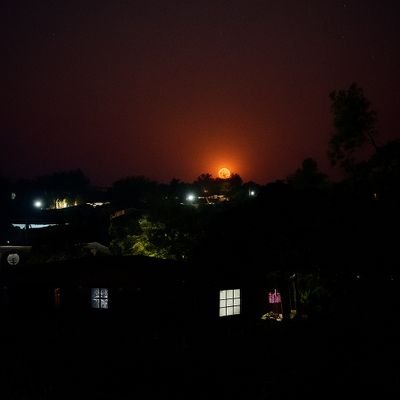 chasi_james's profile picture. 